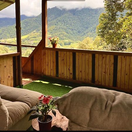 فيلا ميندوفي Eden Treehouse المظهر الخارجي الصورة
