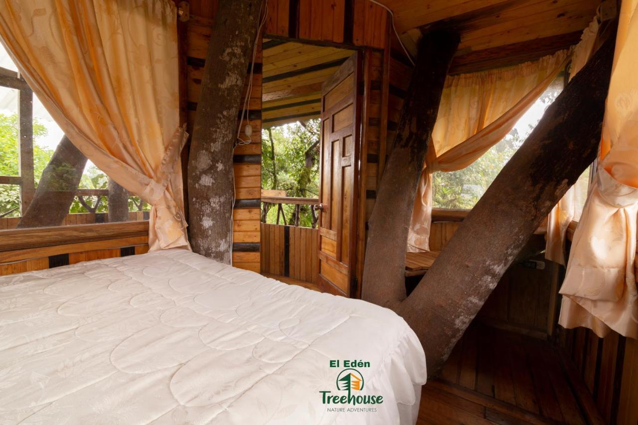 فيلا ميندوفي Eden Treehouse المظهر الخارجي الصورة