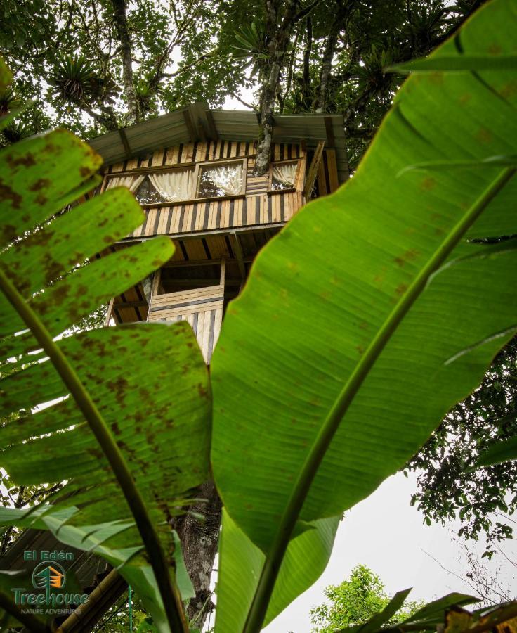 فيلا ميندوفي Eden Treehouse المظهر الخارجي الصورة