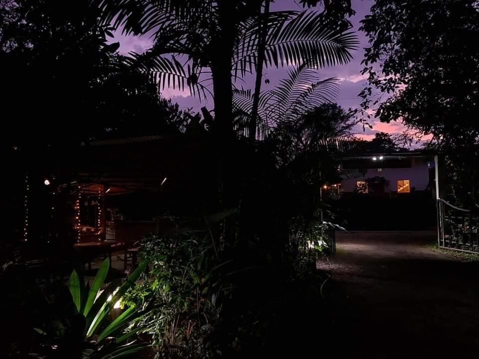 فيلا ميندوفي Eden Treehouse المظهر الخارجي الصورة