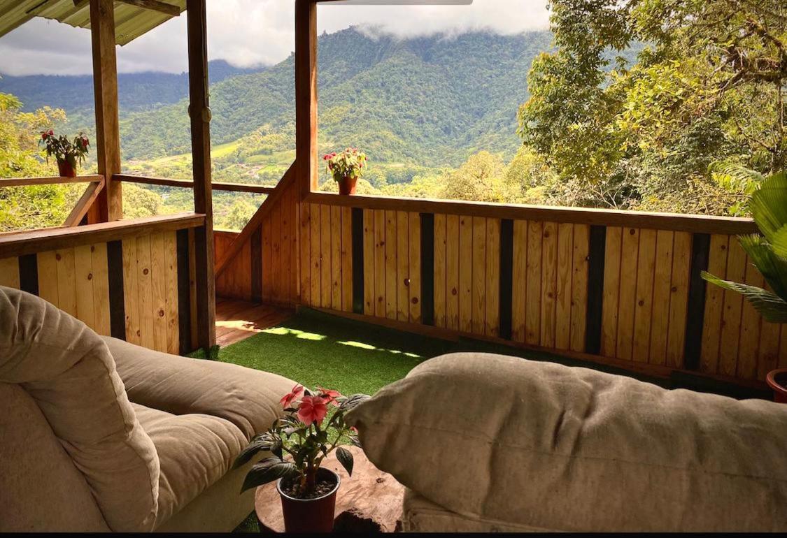 فيلا ميندوفي Eden Treehouse المظهر الخارجي الصورة