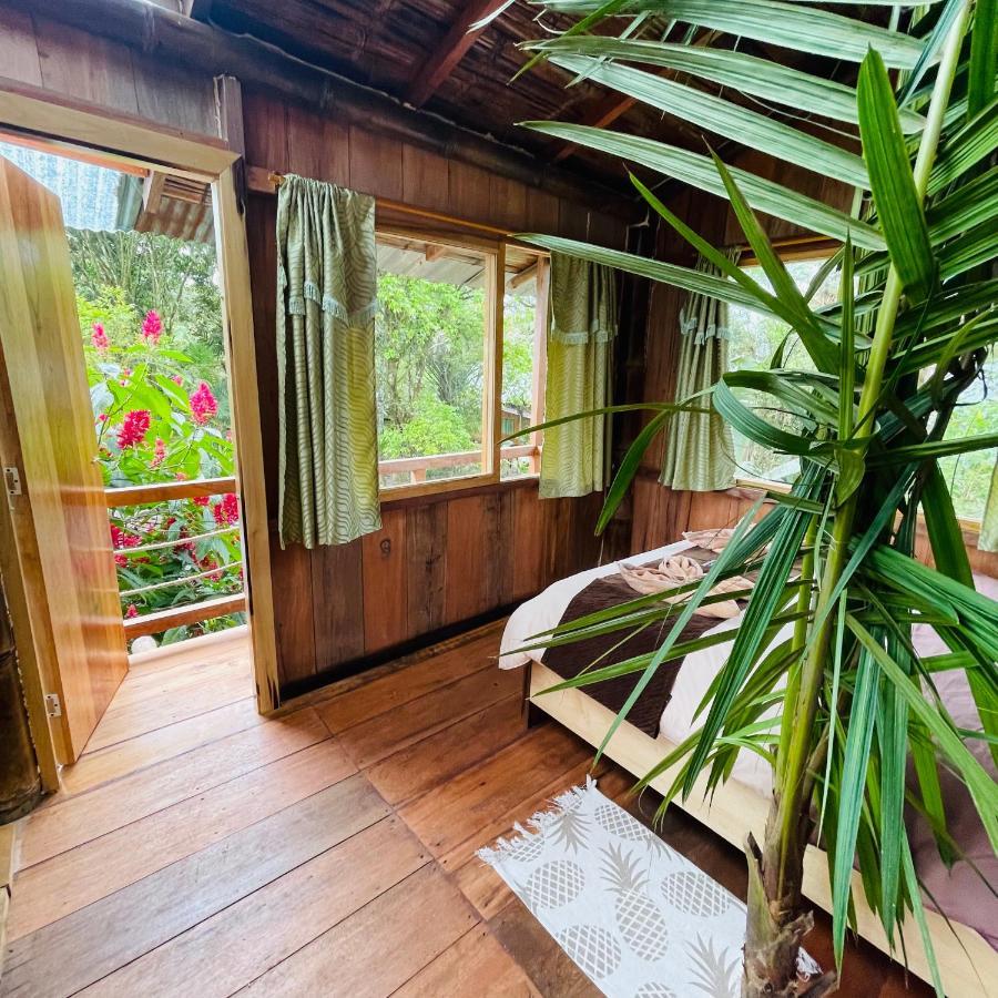 فيلا ميندوفي Eden Treehouse المظهر الخارجي الصورة
