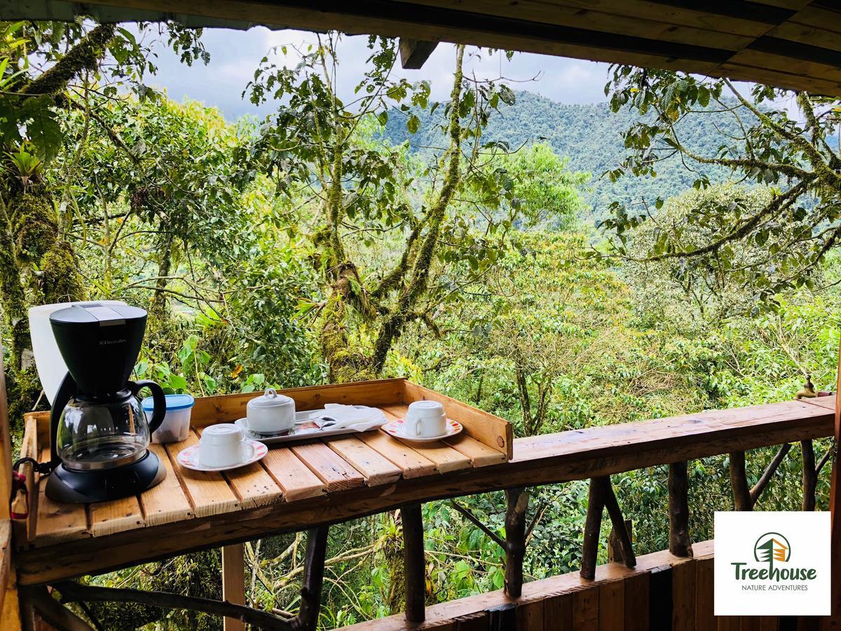 فيلا ميندوفي Eden Treehouse المظهر الخارجي الصورة