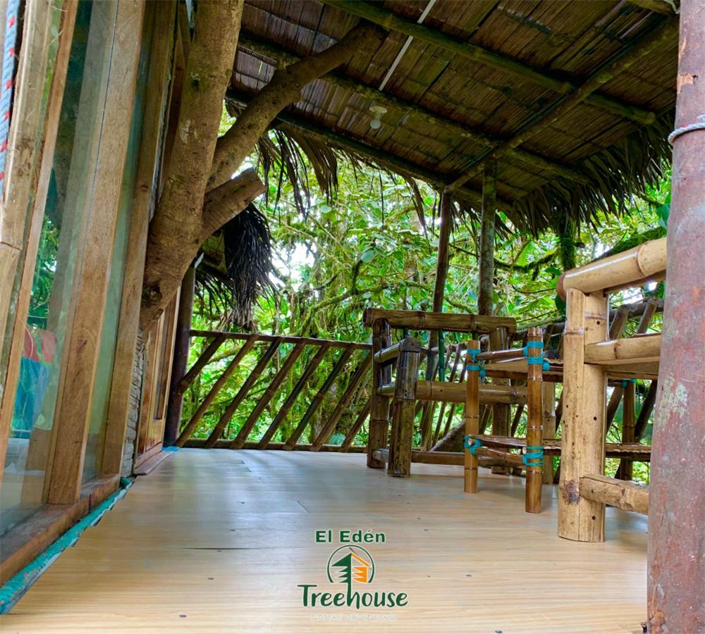 فيلا ميندوفي Eden Treehouse المظهر الخارجي الصورة