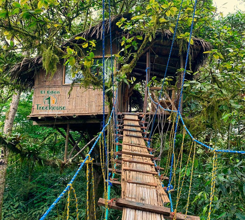 فيلا ميندوفي Eden Treehouse المظهر الخارجي الصورة